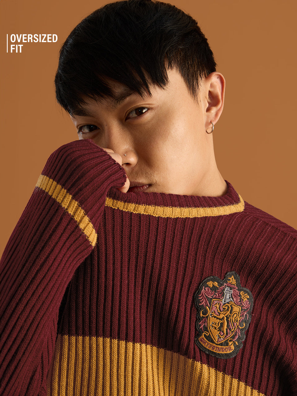 Harry Potter: Lion's House