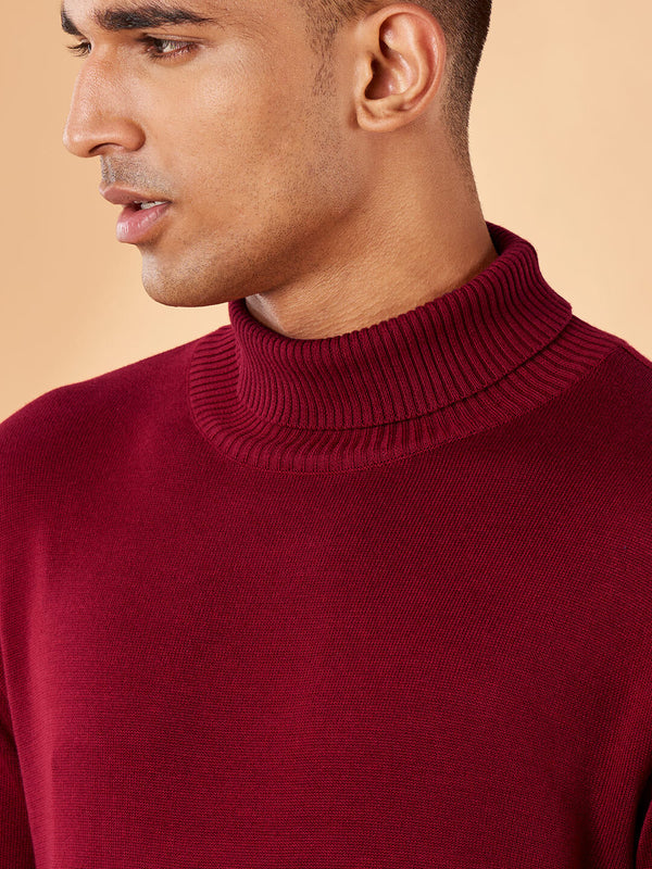 Solids: Pomegranate Turtle Neck